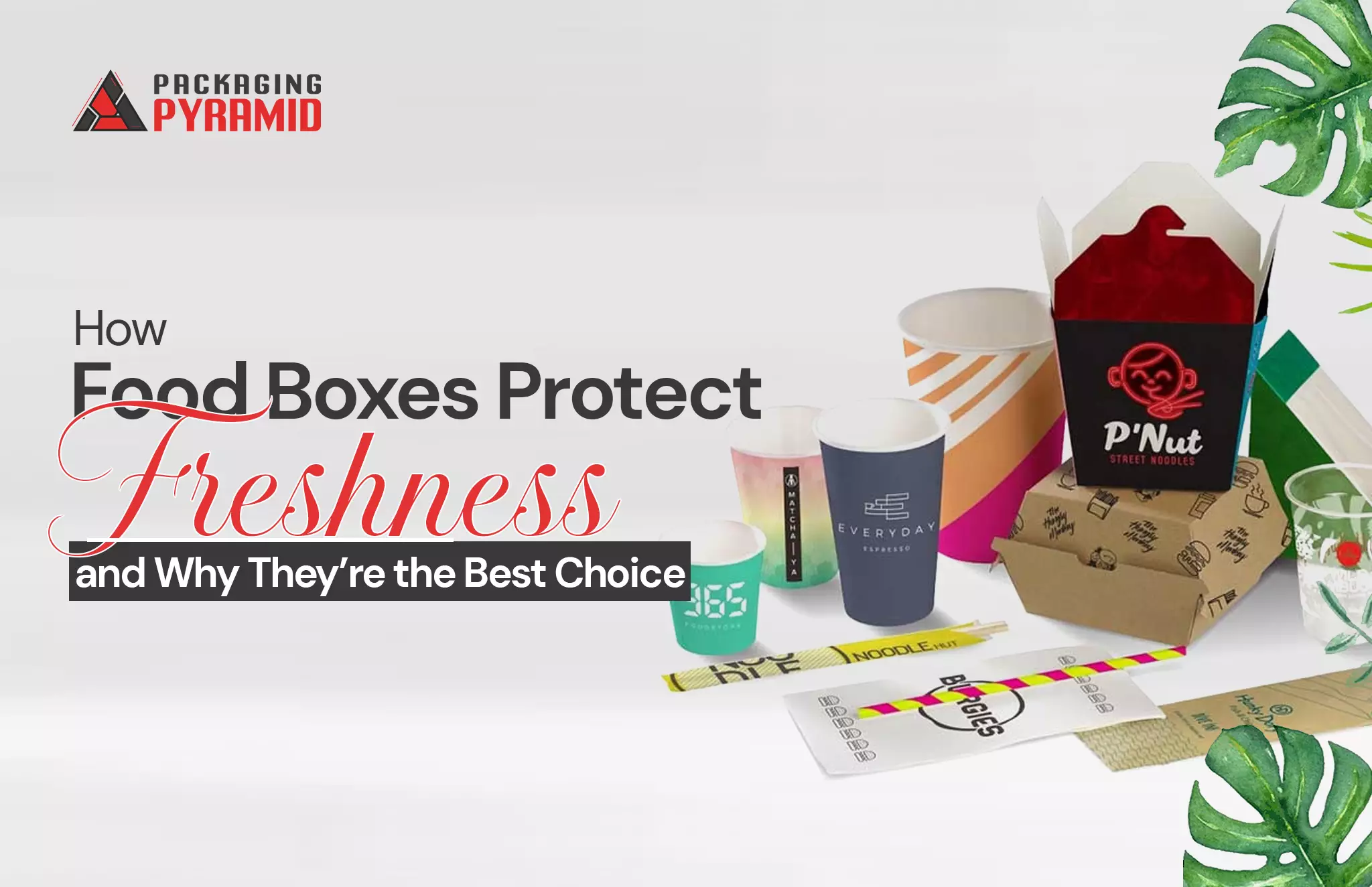 How Food Boxes Protect Freshness and Why They’re the Best Choice